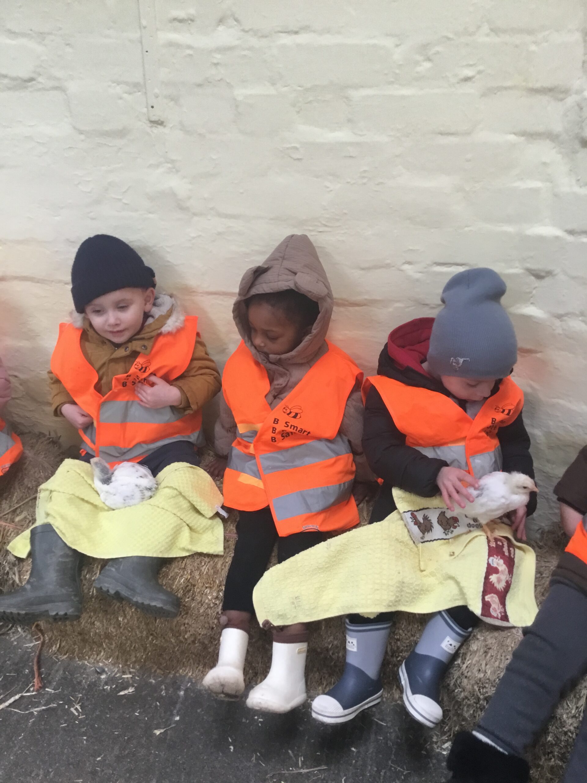 “Farm-tastic fun at Hall Hill Farm! 
