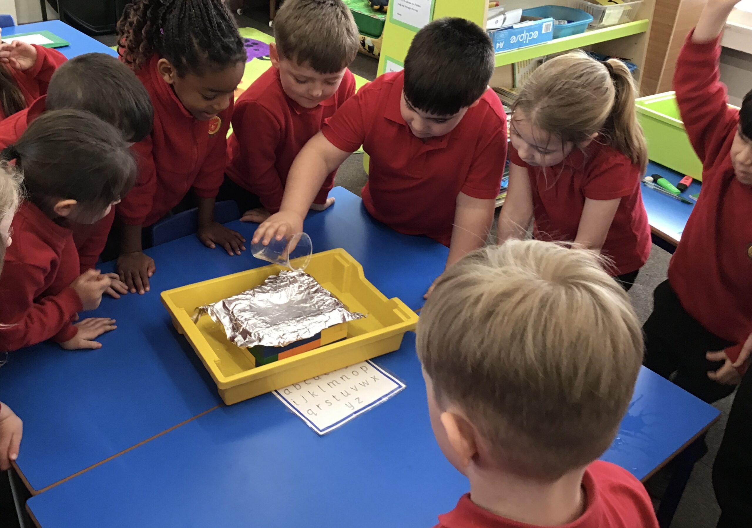 Year 1 Science